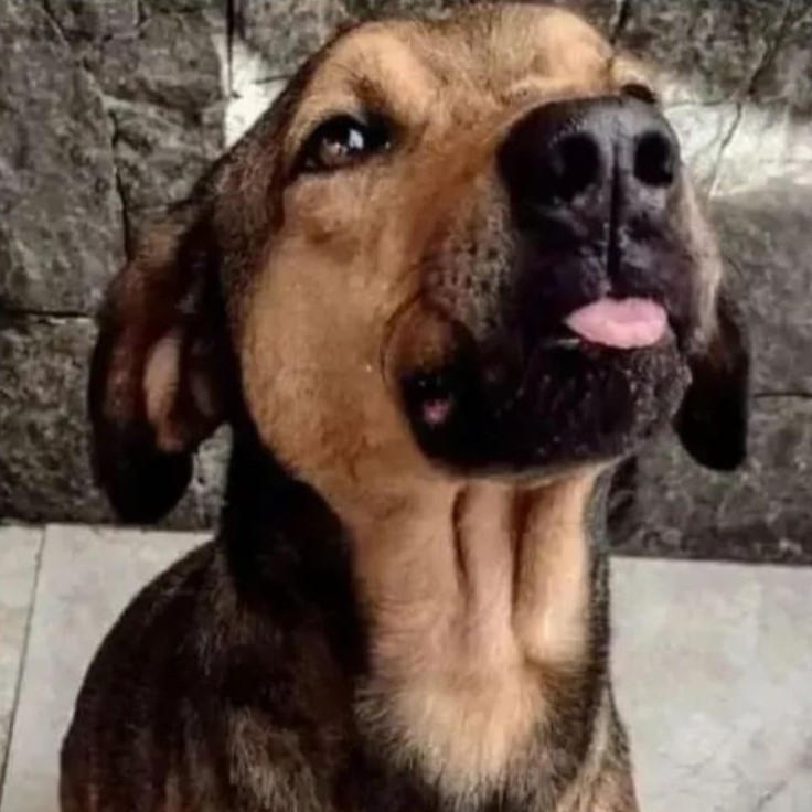 Foto Augusto